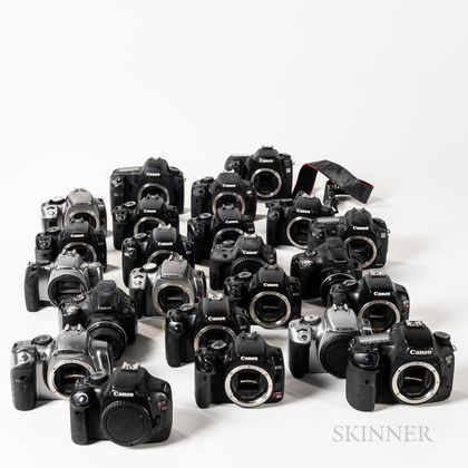 Group of Canon Digital Camera Bodies.