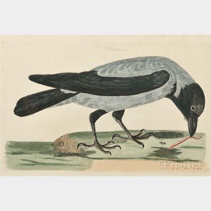 Mazell, Peter (1761-1797) Eight Hand-colored Natural History Engravings: Four Ornithological Prints and Four Quadruped Prints.