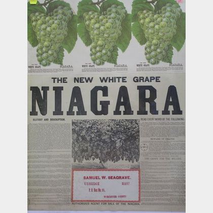 Niagara White Grapes Chromolithograph Broadside