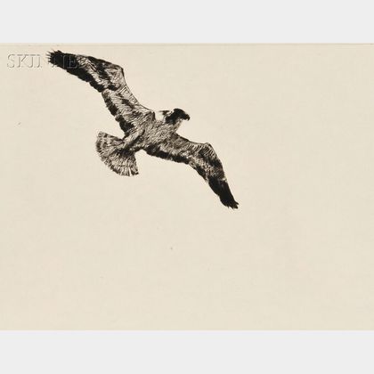 Frank Weston Benson (American, 1862-1951) Soaring Fish Hawk