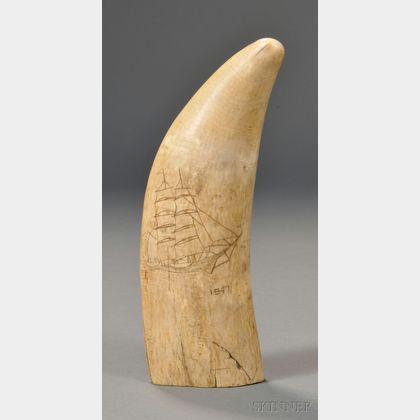 Whale's Tooth Engraved with Whale Ship and Spouting Whale