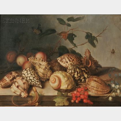Dutch School, 17th Century Style Still Life with Shells and Insects