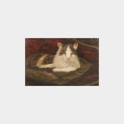 American School, 19th Century Folk Portrait of a Cat