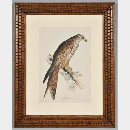 Four Framed Ornithological Prints.