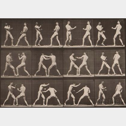 Eadweard Muybridge (British, 1830-1904) Plate 338 (Men Boxing) from Animal Locomotion