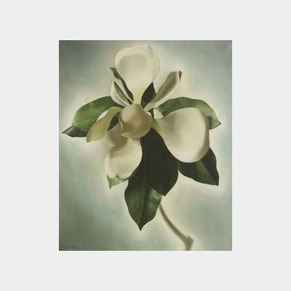 John C. E. Taylor (American, b. 1902) Magnolia Flower