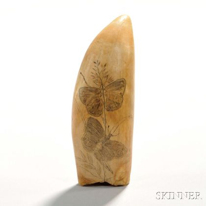 Small Moth-decorated Scrimshaw Tooth