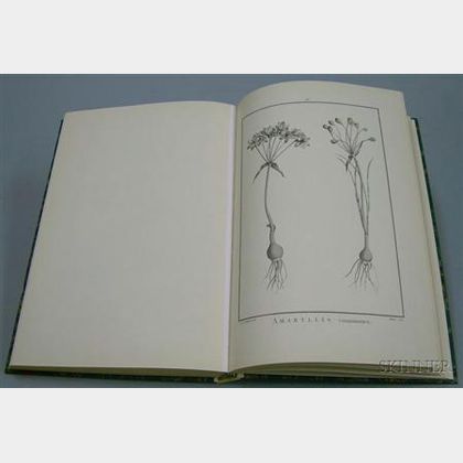 (Botanical Illustration),L'Heritier de Brutelle, Charles-Louis