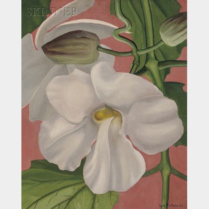 Kyra Markham (American, 1891-1967) Orchid