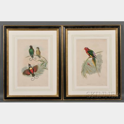 John Gould (English, 1804-1881),and William Matthew Hart (English, 1830-1908) Two Framed Ornithological Lithographs