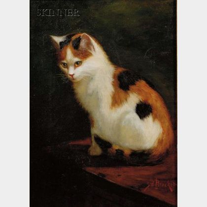 Sidney Lawrence Brackett (American, 1852-1910) Calico Cat