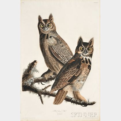 Audubon, John James (1785-1851) Great Horned Owl, Plate 61.