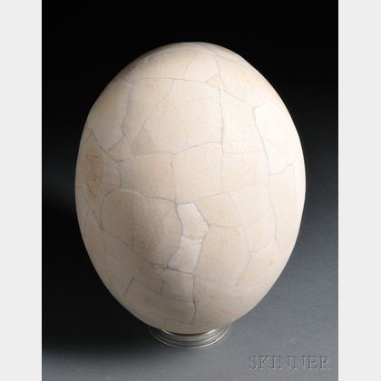 Reconstructed Egg of the Madagascan Elephant Bird