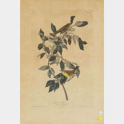 Audubon, John James (1785-1851)