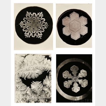 Wilson Alwyn Bentley (American, 1865-1931) Four Photographs: Three of Snowflakes and One of Frost