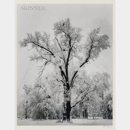 Ansel Adams (American, 1902-1984) Oak Tree, Snow Storm, Yosemite Valley