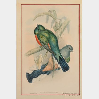 (Ornithological),Gould, John & Richter, H.C.