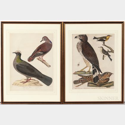 Wilson, Alexander (1766-1813) Plates from American Ornithology and Bonaparte's Supplement.