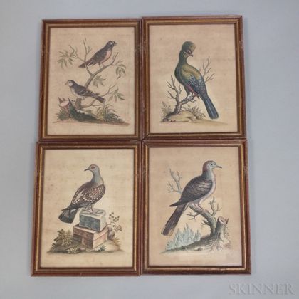 Four Framed George Edwards Ornithological Engravings