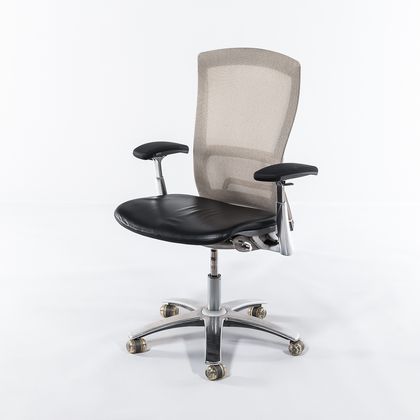 Formway Design for Knoll "Life" Desk Chair