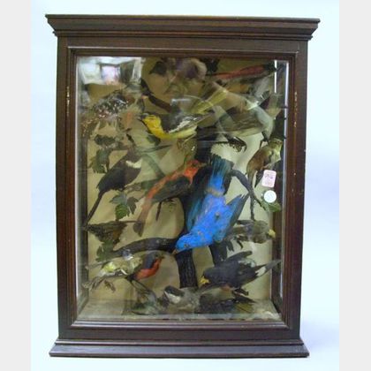 Late Victorian Fourteen Bird Diorama. 