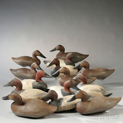 Fourteen Canvasback Duck Decoys