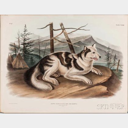 Audubon, John James (1785-1851) Two Quadruped Prints: Hare-Indian Dog and Esquimaux Dog, Plates CXXXII and CXIII.