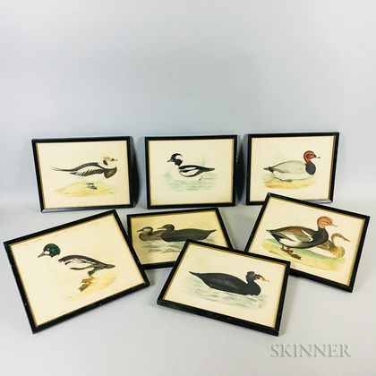 Nine Framed Birds Prints and a Folio of Seven Loose Dog and Duck Prints. Estimate $20-200