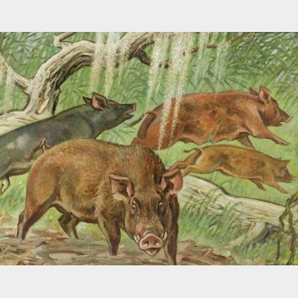 Paul Bransom (American, 1886-1979) Wild Boar