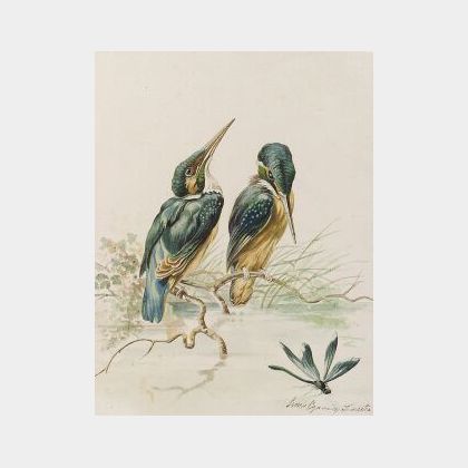Louis Agassiz Fuertes (American, 1874-1927) Kingfishers