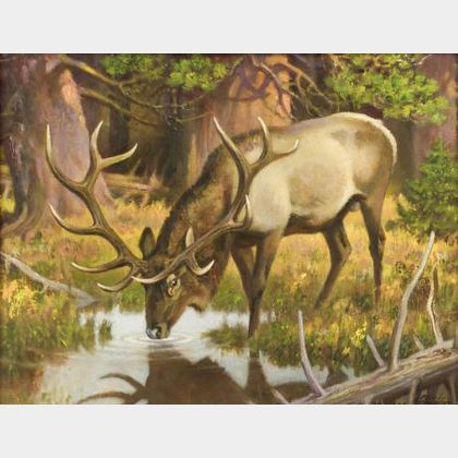 Paul Bransom (American, 1886-1979) Bull Elk