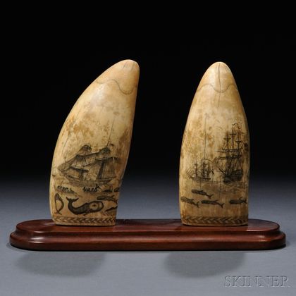 Pair of Scrimshaw Whale's Teeth