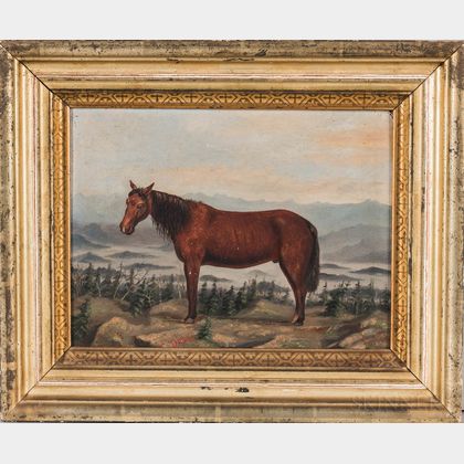 American School, Late 19th Century Portrait of the Horse "Dick"