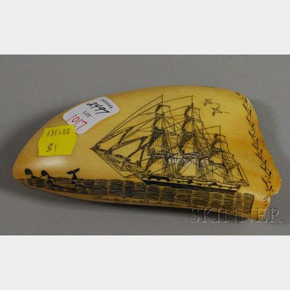 Scrimshaw Decorated Whale's Tooth