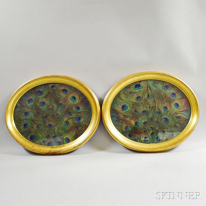 Pair of Gilt Oval Frames with Peacock Feathers