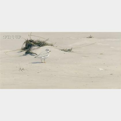 Robert Verity Clem (American, b. 1933) Piping Plover in the Sand