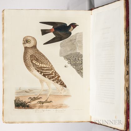 Bonaparte, Charles Lucian (1803-1857) American Ornithology; or the Natural History of Birds Inhabiting the United States, Not Given by 
