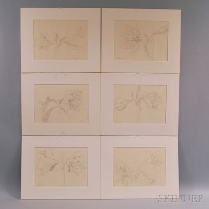 Fumio Yoshimara (Japanese, 1926-2002) Six Floral Study Drawings: