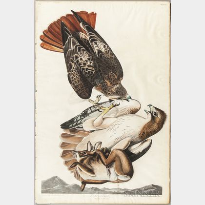 Audubon, John James (1785-1851) Red Tailed Hawk , Plate 51.