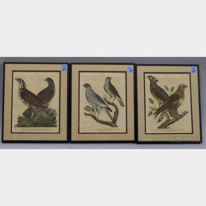 Three Framed Hand-colored Ornithological Prints After J.J. Reinold