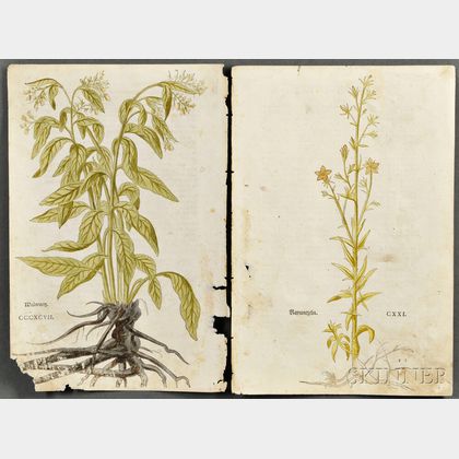 Varia: Three Botanicals; One Map; Twelve Text Leaves.