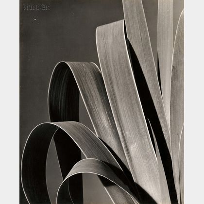Rowena Fruth (American, 1896-1983) Iris III