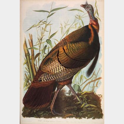 Audubon, John James (1785-1851),Rare and Fine Copy